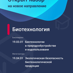 Новые направления