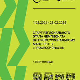 Региональный этап Чемпионата по профессиональному мастерству «Профессионалы» в Санкт-Петербурге