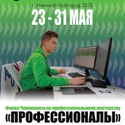 Финал Чемпионата по профессиональному мастерству «Профессионалы» по компетенции «Программные решения для бизнеса» в 2025 году